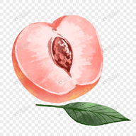 WWW,eee70·COM网站APPAPP应用
